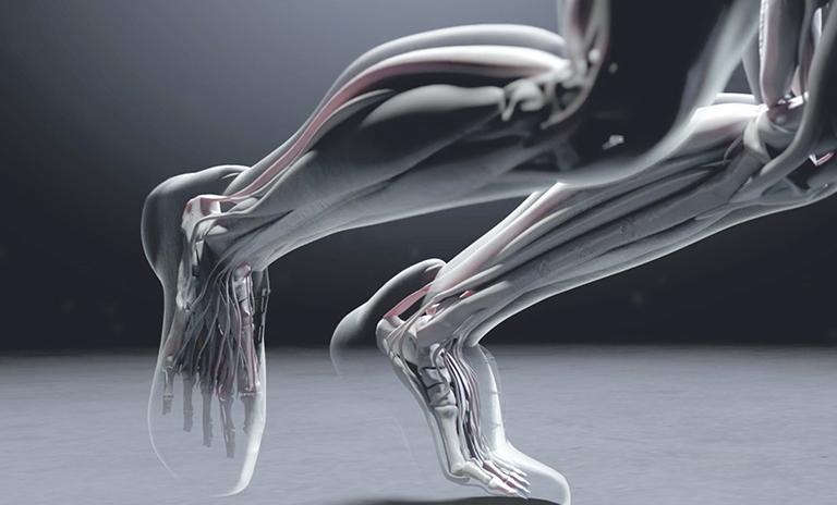 Simulation of human legs in motion
