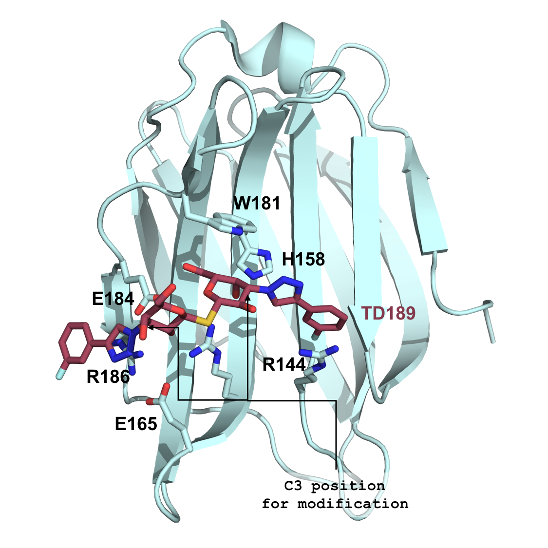 Gal-3