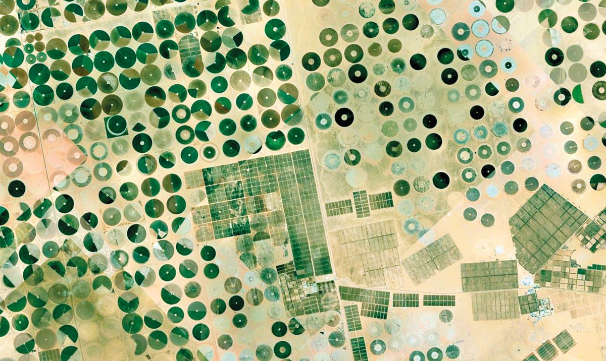 Satellite image of desert fields