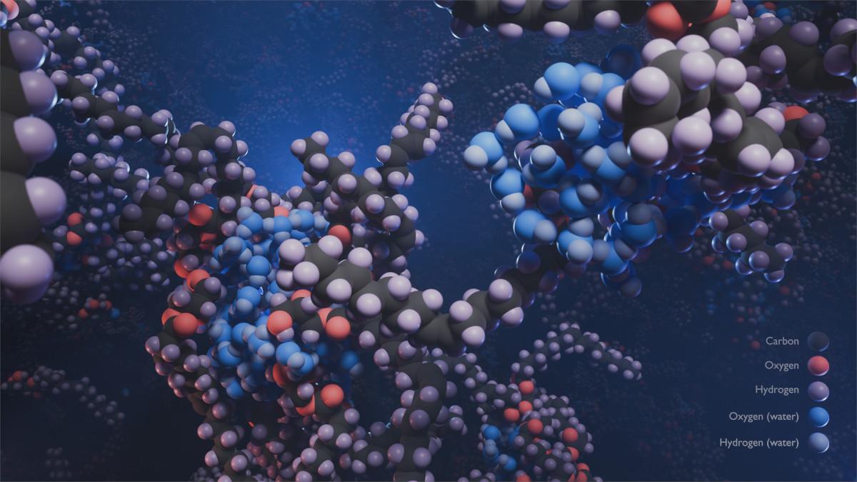 Molecular dynamics visualisation