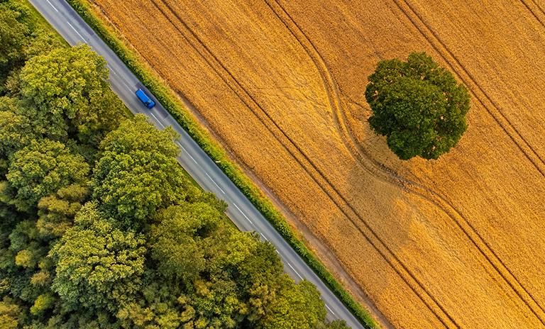 satellite view of crops and wood