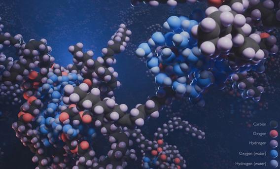 Molecular dynamics computation of Glycerol monooleate (GMO) molecules gathering around water droplets to form reverse-micelles helping lubrication efficiency. By Dr Sébastien Lemaire, Rui Apóstolo, EPCC, University of Edinburgh