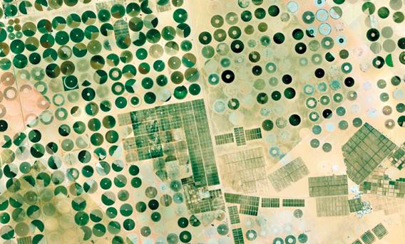 Satellite image of desert fields