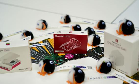 Photo shows puffin toys and Raspberry Pi