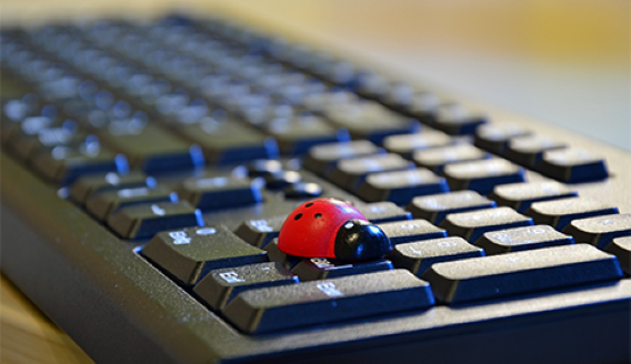 Keyboard with bug