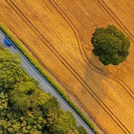 Satellite view of wood and crop